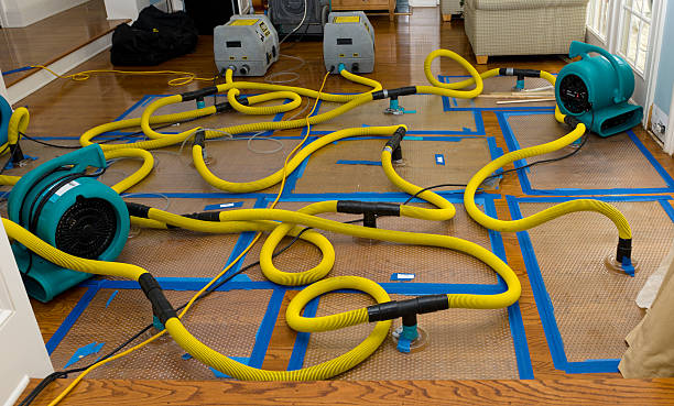 Professional Basement Flood Cleanup technician working in Bowling Green, OH